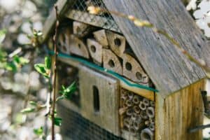 Zelf insectenhotel maken