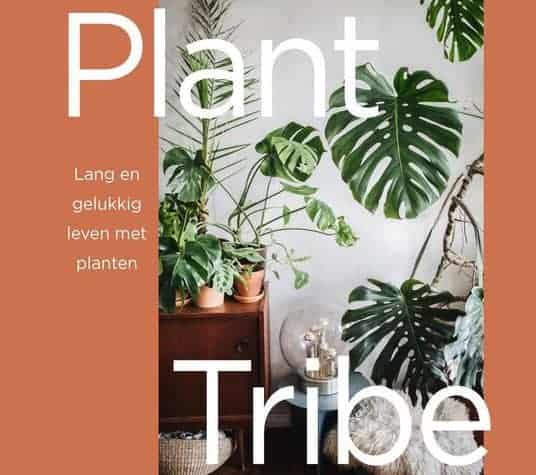 Plant Tribe – groene energie voor binnenshuis