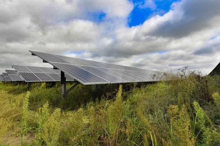 Zoemend en bloeiend zonnepark