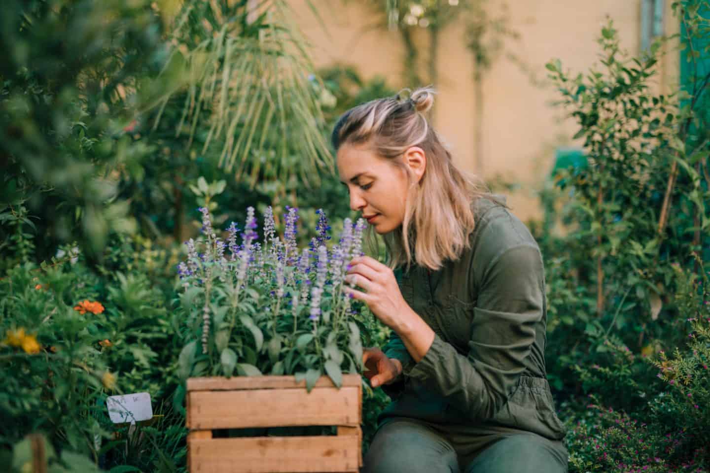 8 tips voor het verduurzamen van je tuin