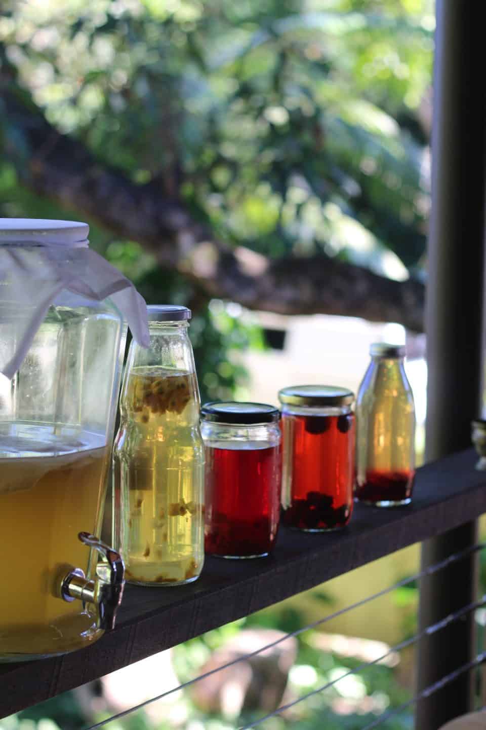 Zelf maken: gefermenteerde dranken zoals kombucha