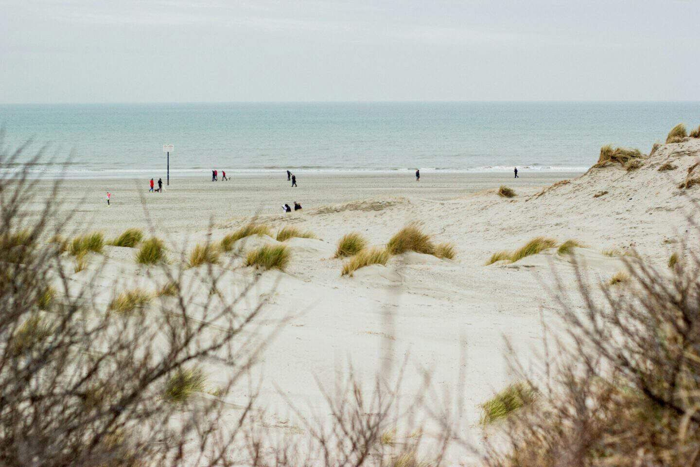 5x mooie Nederlandse natuurgebieden met het ov