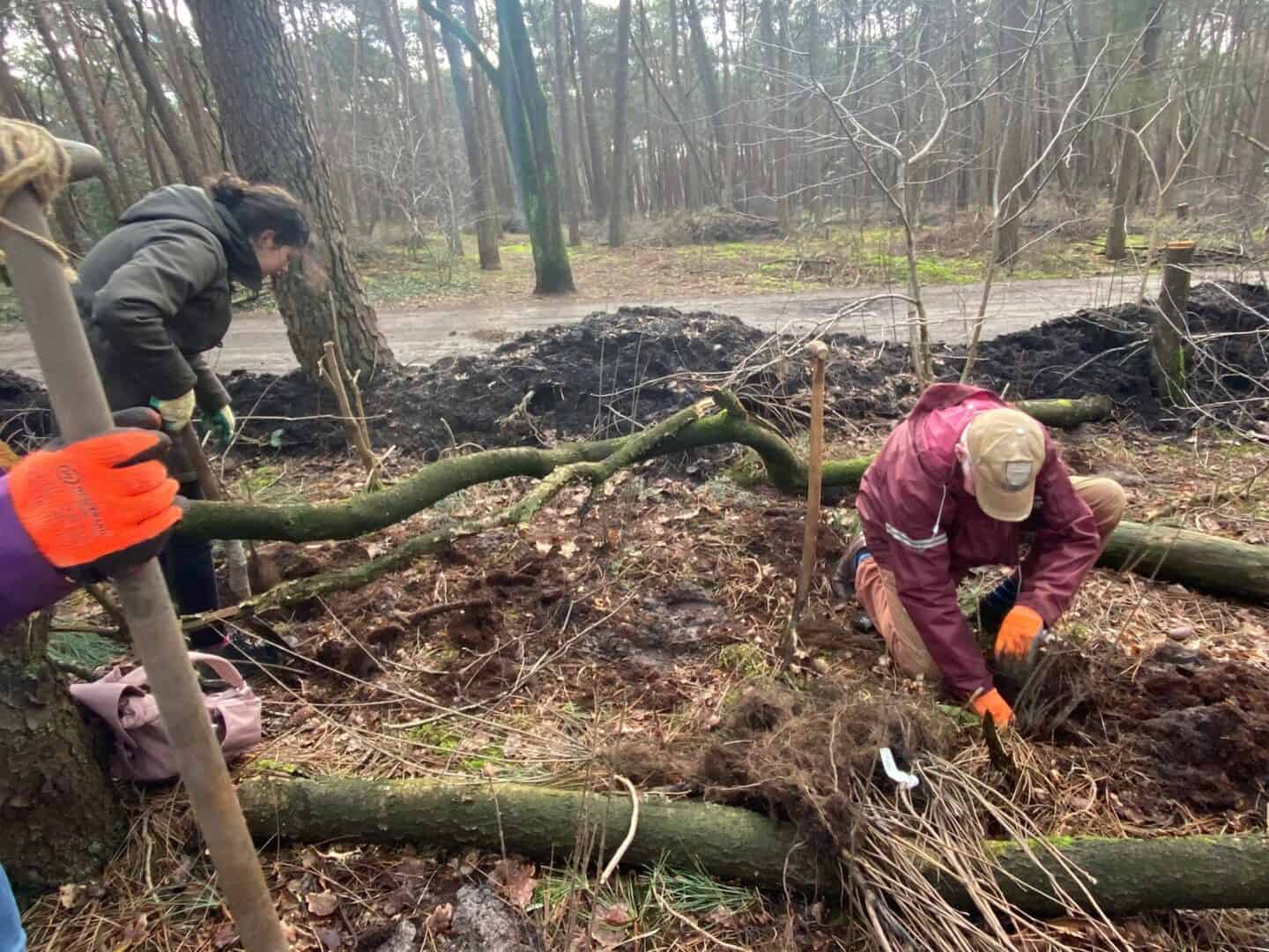 Genoeg-bos 115 bomen rijker dankzij de  Bomenplantdag!