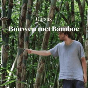 Online Cursus: Bouwen met Bamboe