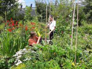 In de moestuin van Kim in Utrecht