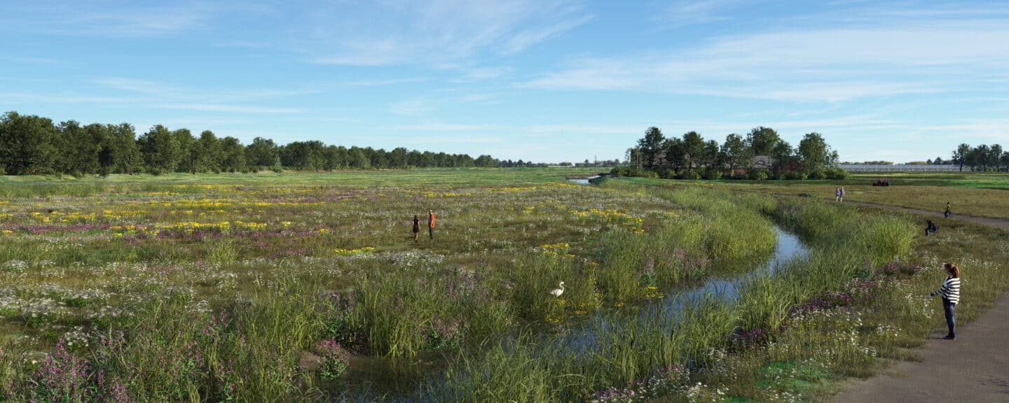 Goed nieuws: meer natuur voor Zuid-Holland